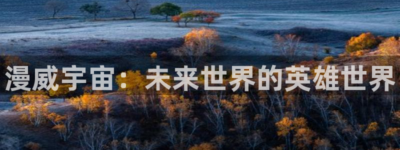 51动漫网站免费看