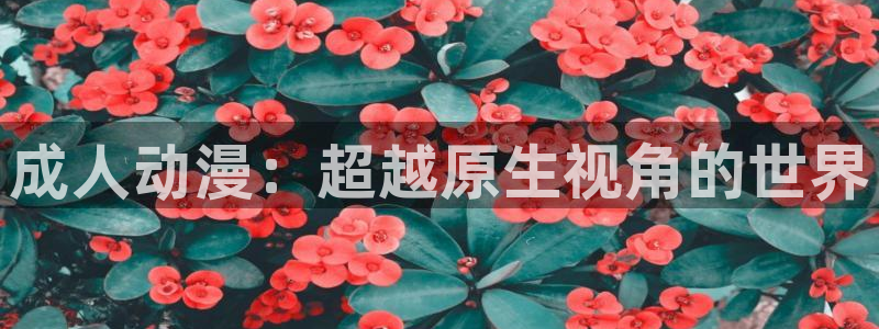 51动漫官网在线