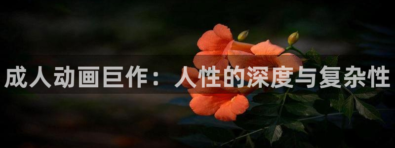 51动漫永久免费看nba视频：成人动画巨作：人性的深度与复杂性