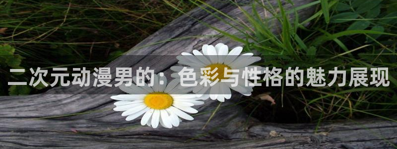 全51动漫：二次元动漫男的：色彩与性格的魅力展现