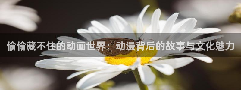 51动漫下载大全：偷偷藏不住的动画世界：动漫背后的故事与文化魅力