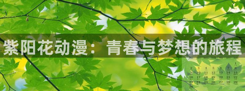 51动漫禁漫成人入口：紫阳花动漫：青春与梦想的旅程