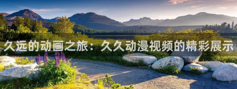 51动漫成人：久远的动画之旅：久久动漫视频的精彩展示